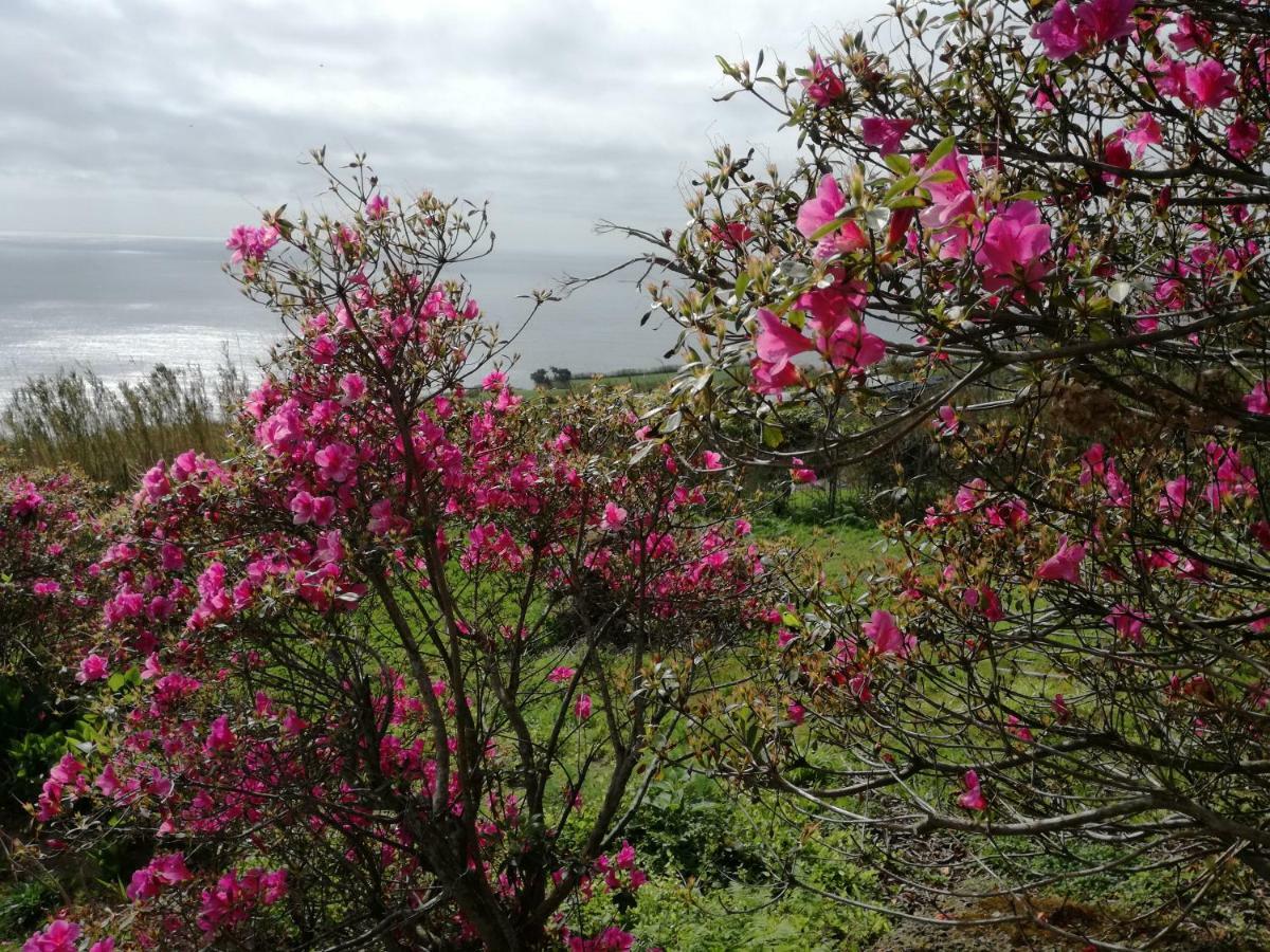Вилла Quinta Do Sol Poente Feteiras Экстерьер фото