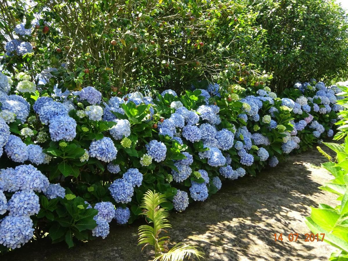 Вилла Quinta Do Sol Poente Feteiras Экстерьер фото
